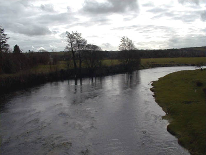 Bandon River 2.jpg 42.2K